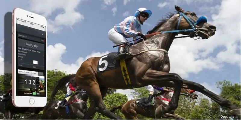 Overview of horse racing