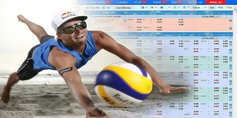 Summary of Volleyball Betting Odds