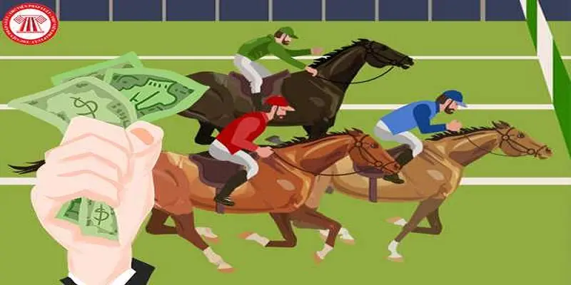 Experience betting on horses that are easiest to win